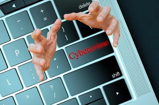 types of cybercrime