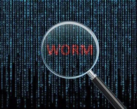 harmfull worm computer viruses